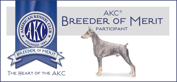 American Kennel Club Breeder of merit with Doberman picture