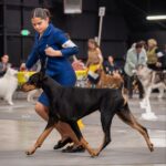 dsc00625-original-file6905726998081463889.jpg